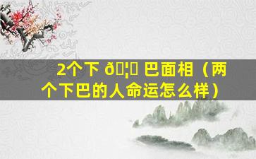 2个下 🦅 巴面相（两个下巴的人命运怎么样）